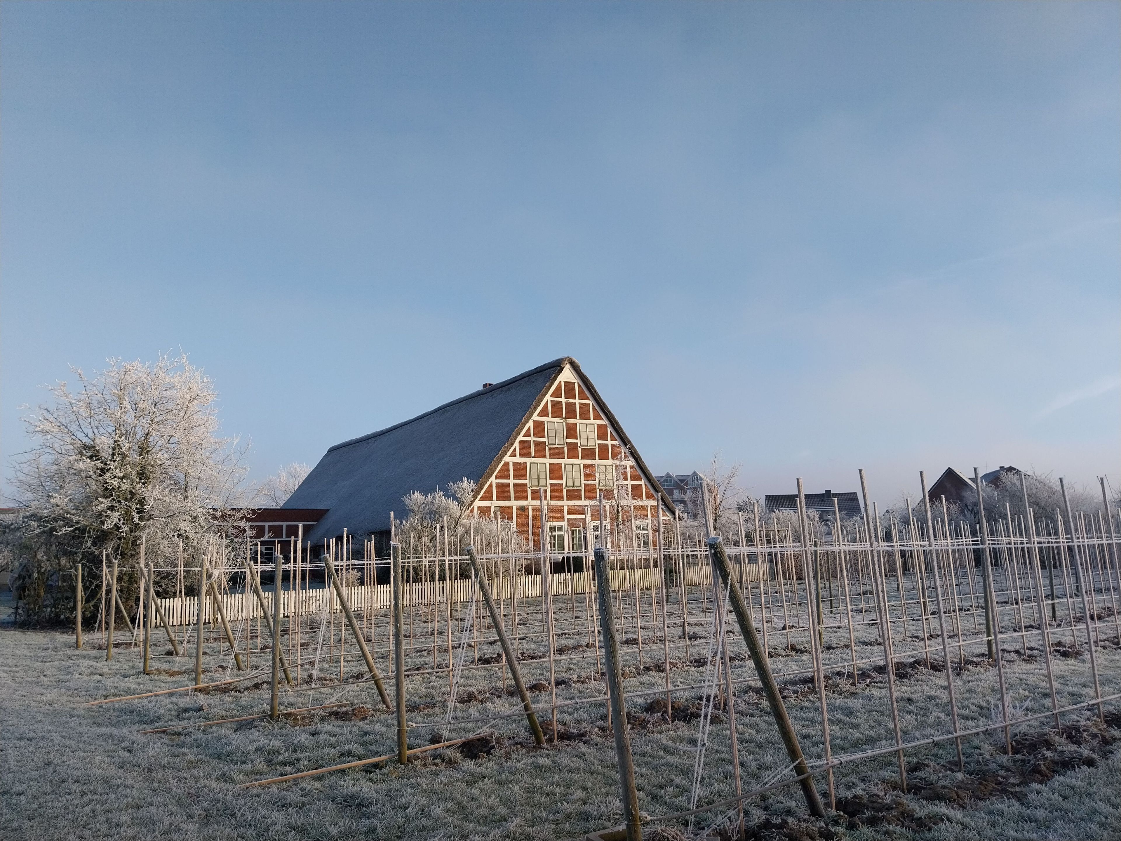 Ein Scheune mit geneigtem Dach, umgeben von einem eingezäunten Weinberg.