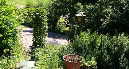 Apartments - Apartments in Haidach