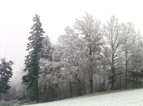 Unclassified image, 1 of 56, button