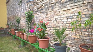 Terrein van de accommodatie