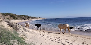 Beach nearby