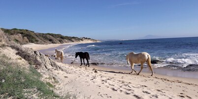 Tarifa - view of Africa, house by the sea, pets welcome