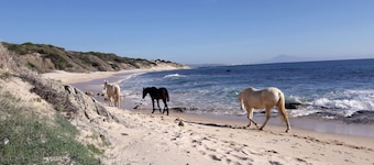 Tarifa - view of Africa, house by the sea, pets welcome