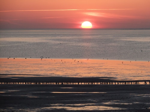 Beautiful, lovingly decorated octagon. House, well maintained. garden 