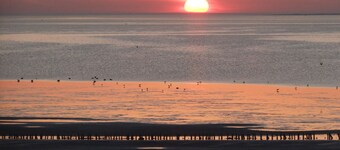 Beautiful, lovingly decorated octagon. House, well maintained. garden 