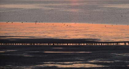 Beautiful, lovingly decorated octagon. House, well maintained. garden