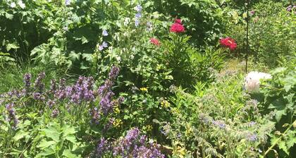 Historic Burggen vicarage with large garden, near Neuschwanstein Castle