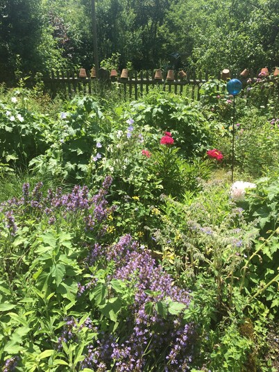Rectoría histórica cerca de Burggen, cerca del castillo de Neuschwanstein