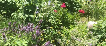 Historic Burggen vicarage with large garden, near Neuschwanstein Castle