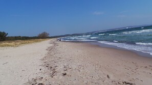 Playa en los alrededores