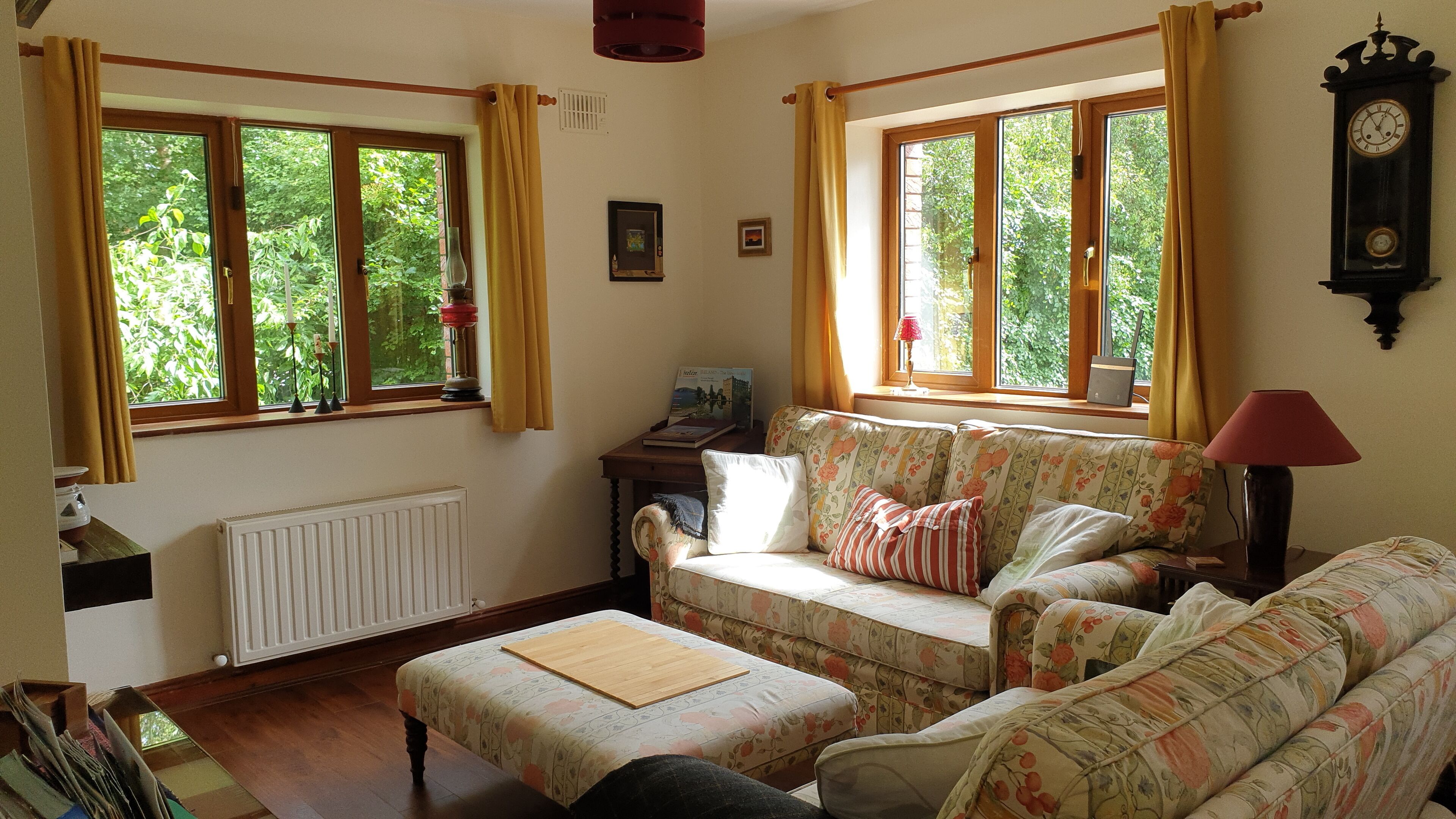 TV, fireplace, books
