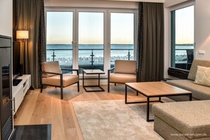 TV, lareira, DVD player, livros