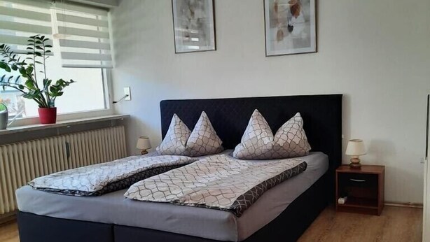 Ein modernes Schlafzimmer mit einem großen Bett, einer Topfpflanze und zwei gerahmten Bildern an der Wand.