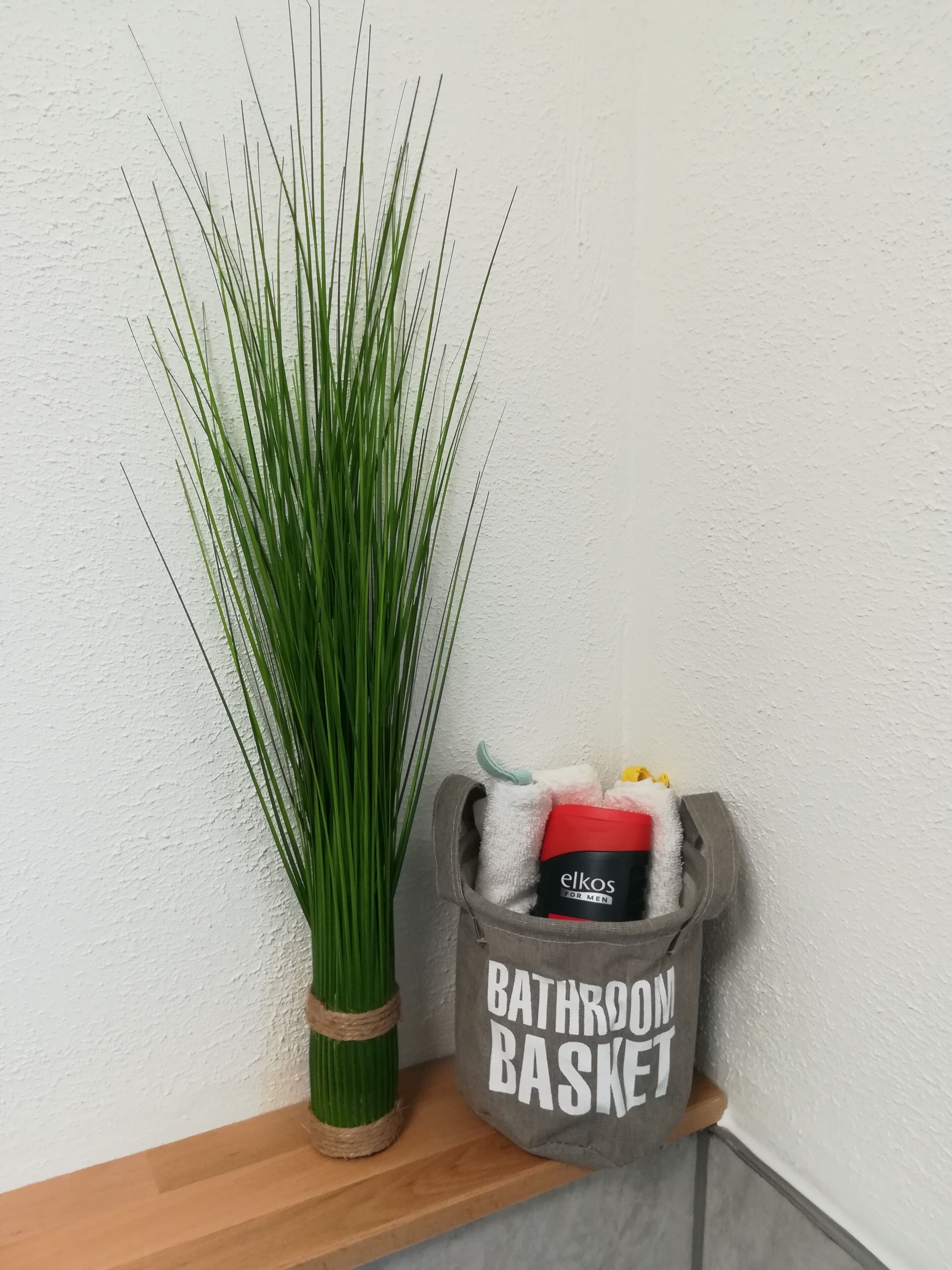 A bathroom basket with toiletries and a tall green plant.