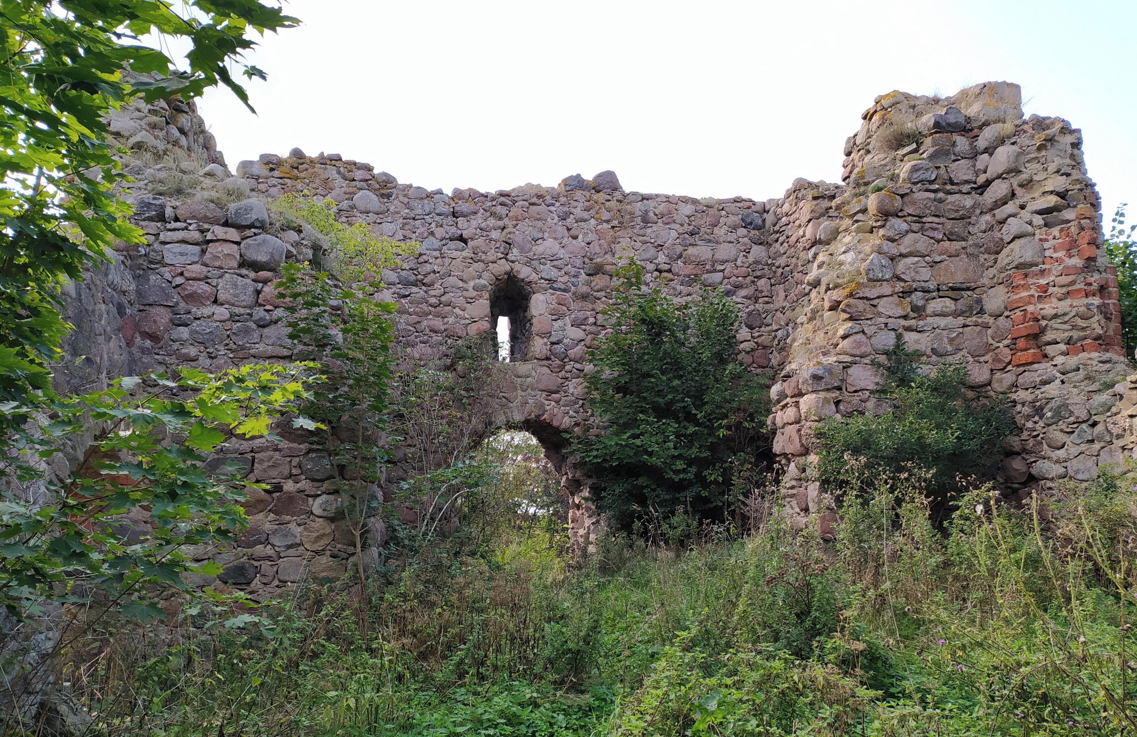 An ancient stone structure with a central archway surrounded by overgrown vegetation.