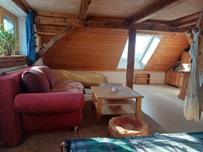 TV, DVD player, books