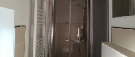 A modern bathroom with a glass shower enclosure, a toilet, and a sink.