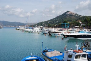 A marina with boats docked, a hill with buildings in the background, and a clear sky.