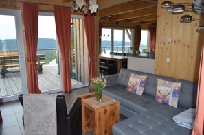 TV connectée, cheminée, lecteur de DVD, livres