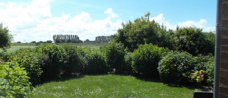 Jardí amb gespa, arbustos i un mur de maó.
