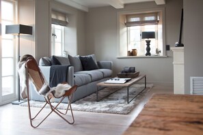 Smart TV, fireplace, books, video library