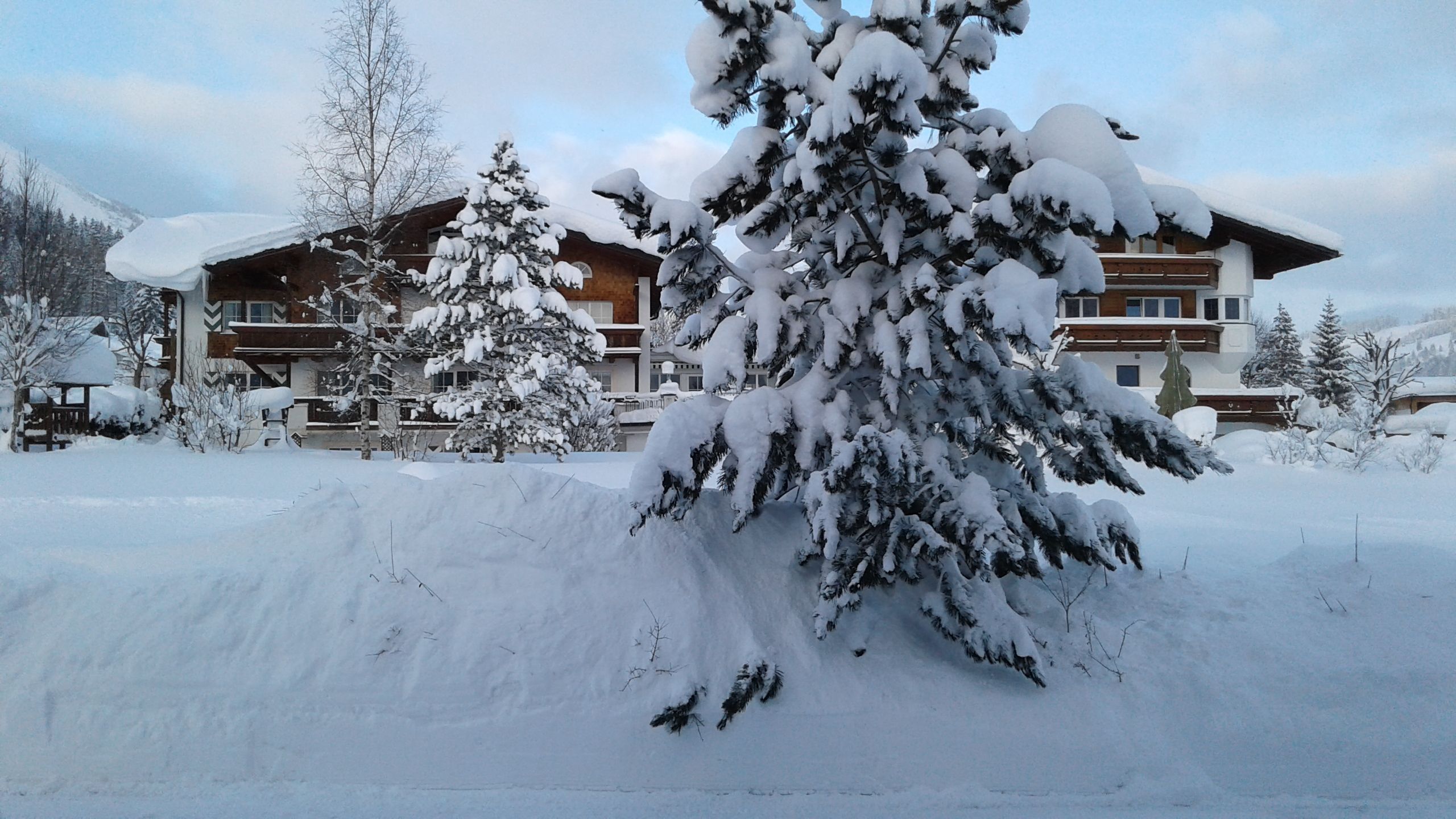 Eksteriør