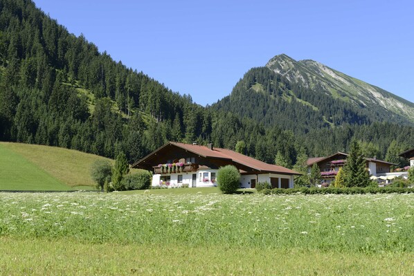 A mountain house with a sloped roof, surrounded by a lush green field and dense forest.