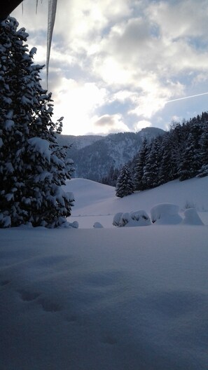 Unclassified image, 5 of 39, button