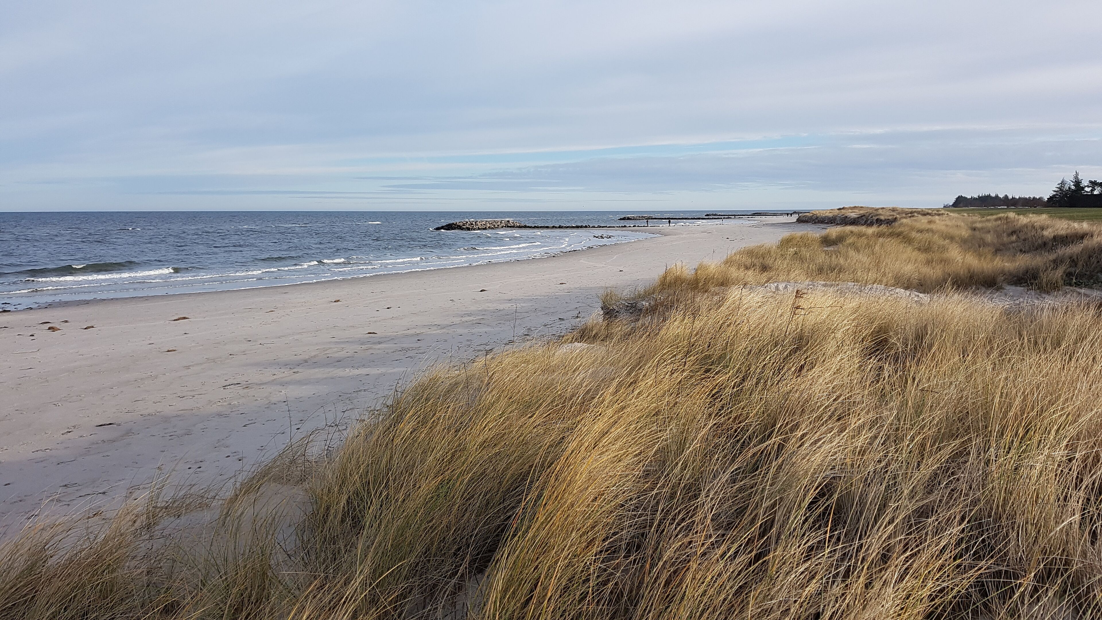 Ein Strand mit Sand, Gras und einem ruhigen Meer.