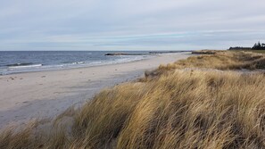 Beach nearby, sun loungers