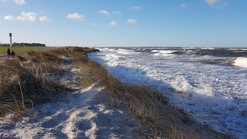 Kinder- und hundefreundliche, strandnahe Ferienhaussiedlung