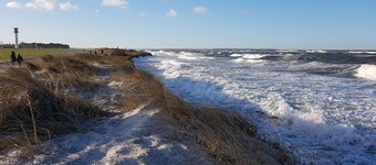 Child and pet friendly, beach-front cottage area