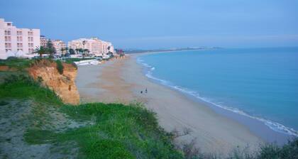 Top gepflegtes und gut ausgestattetes Apartment direkt am traumhaften Strand