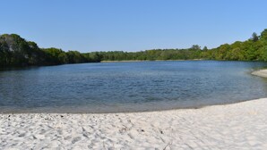 A sandy beach with a calm lake and dense trees in the background.