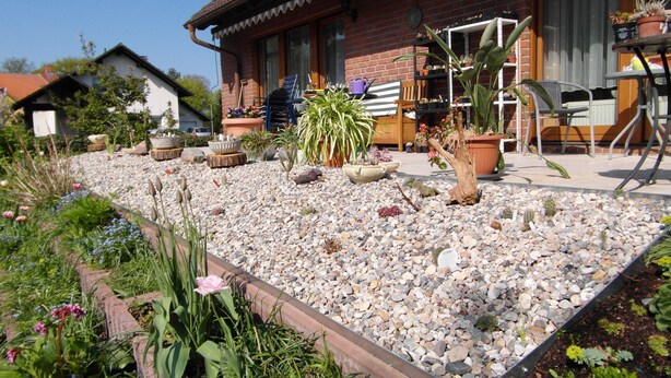 A garden with a variety of plants and a small pond.