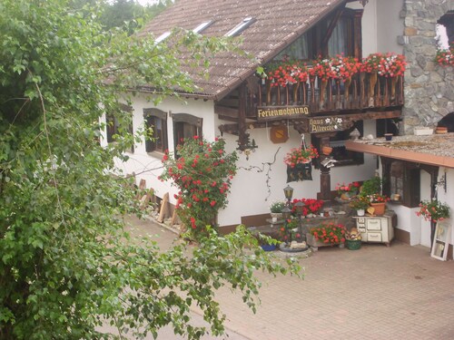 A place in the sun in the Black Forest, for hiking, relaxing and enjoying