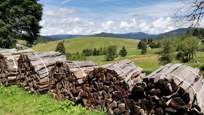 A rural landscape with a stack of firewood in the foreground and a house in the background. - A place in the sun in the Black Forest, for hiking, relaxing and enjoying (Ühlingen- Birkendorf)