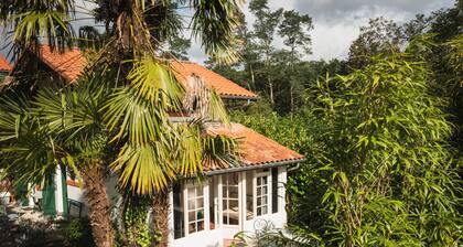 Restored holiday house with all comforts near the sea