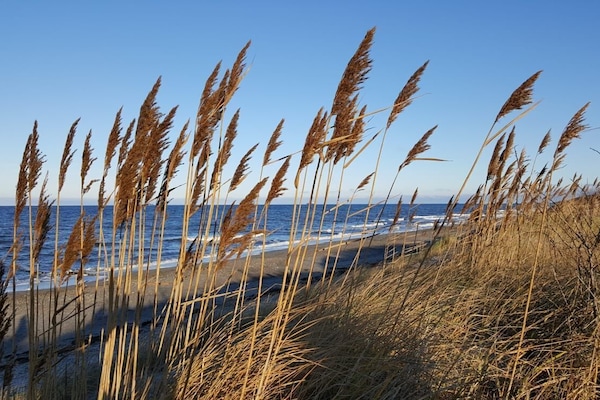 Beach nearby, sun loungers