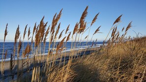 Una spiaggia con erba alta e una vista libera sull'oceano.