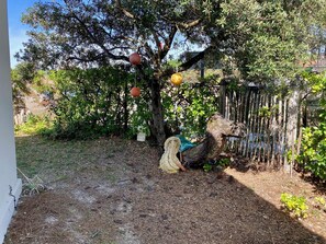 Stroll through the serene garden, surrounded by lush trees and shrubs, with a bird perched on a branch.