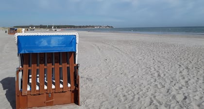 Weissenhäuser Strand Ostsee Holiday house with high equipment