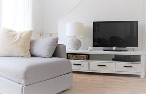 TV, fireplace, DVD player, books