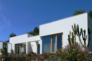 Stylish, single-story building surrounded by desert plants and large windows.