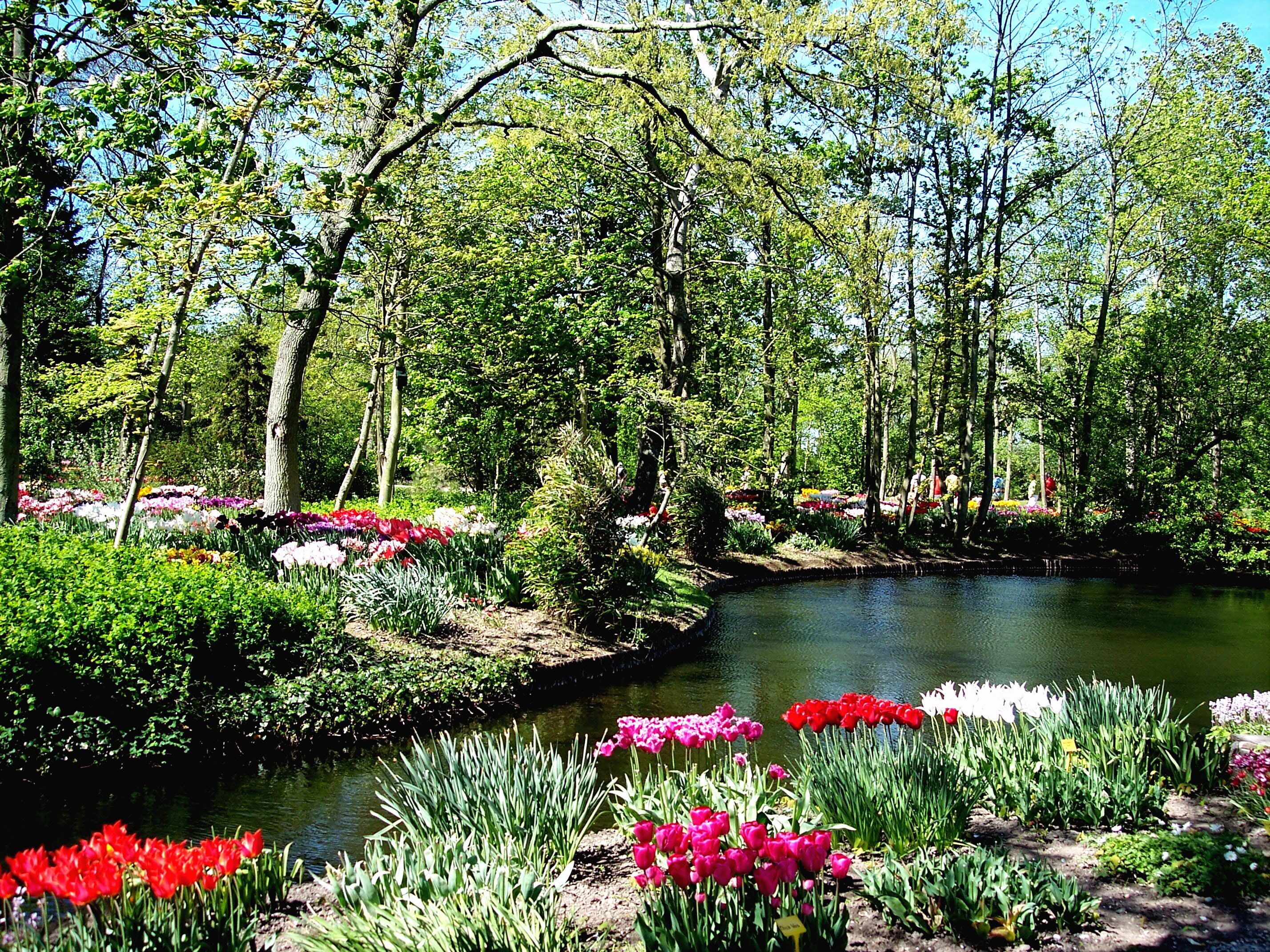 Tulpenpark in Anna Polowna