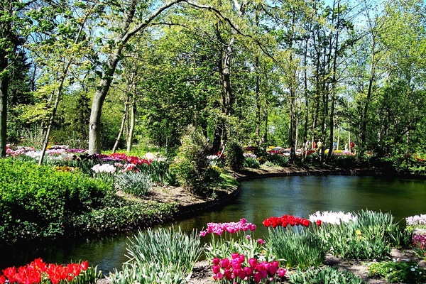 Tulpenpark in Anna Polowna