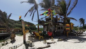 Un restaurant situé en bord de mer, doté d’une terrasse, de palmiers et d’un auvent aux couleurs vives.