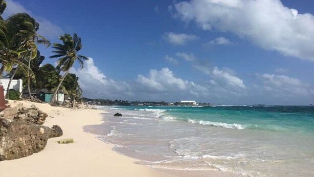 Une plage aux eaux turquoise et limpides, bordée de palmiers, avec quelques bâtiments visibles au loin.