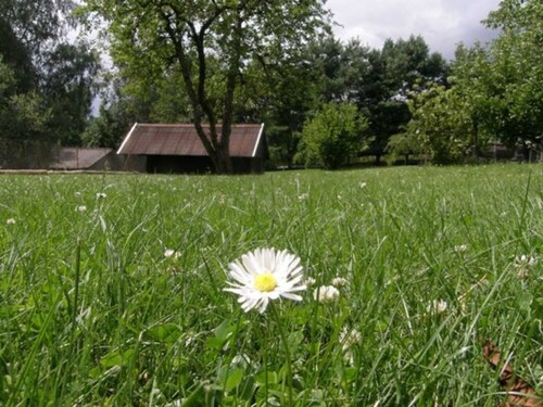 Apartment Damhirsch - Out in the Green Blankenförde