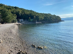 Lettini da mare